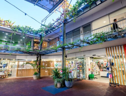 Your Winter Wellness Checklist: What to Stock Up on and When to Book In