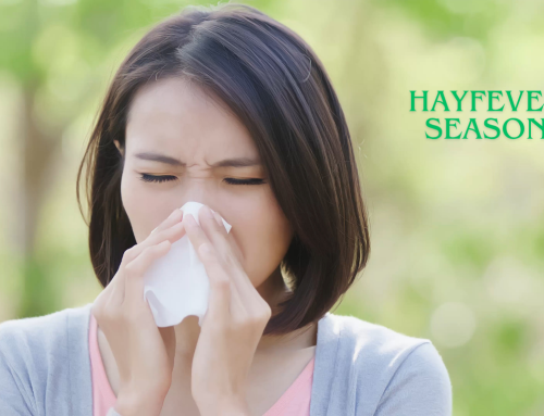 Hayfever Relief Guide: How to Manage Spring Allergies Effectively